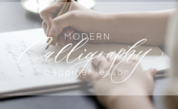 modern calligraphy basic lesson 募集開始